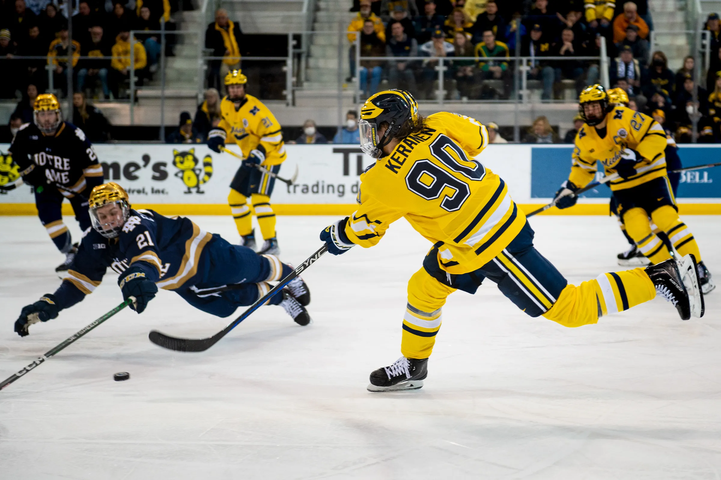 Outlet Warrior Store 3 Outlet Warrior Store -Outlet Warrior Store online seb.DSC4196